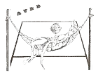 logo AVBB