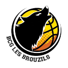 Logo BCG