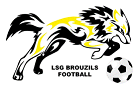 logo LSGB