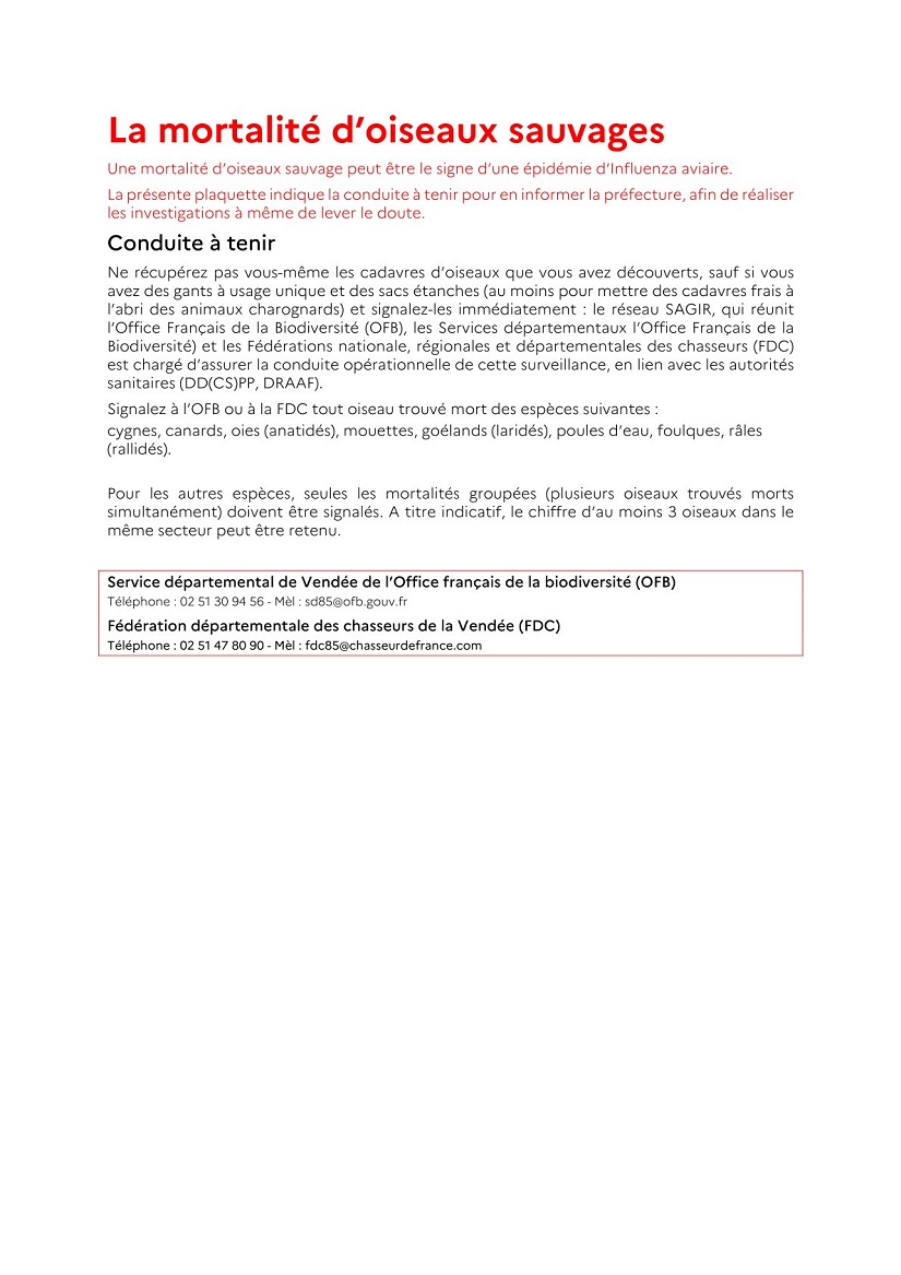 mortalité oiseaux sauvages