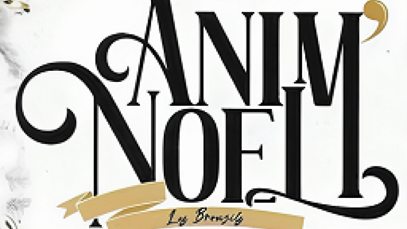 Anim'Noël