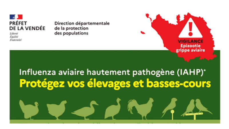 avertissement grippe aviaire