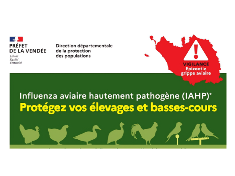 Influenza aviaire - risque élevé